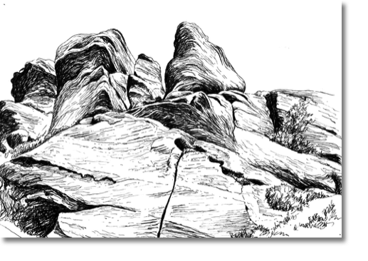 The Roaches
20 x 14 cm